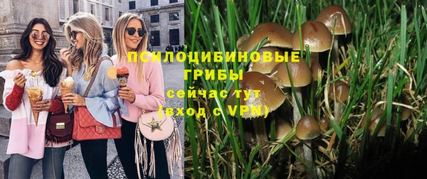 MESCALINE Сосновый Бор