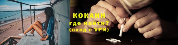 шишки Верхний Тагил