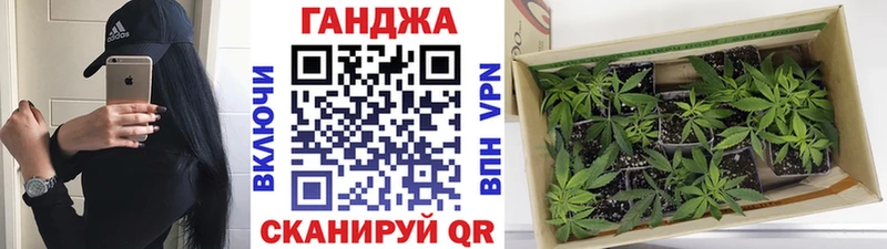 Купить  Чердынь  Конопля ГИДРОПОН 